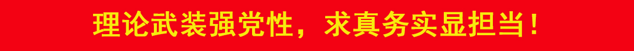 理論武裝強黨性，求真務實顯擔當